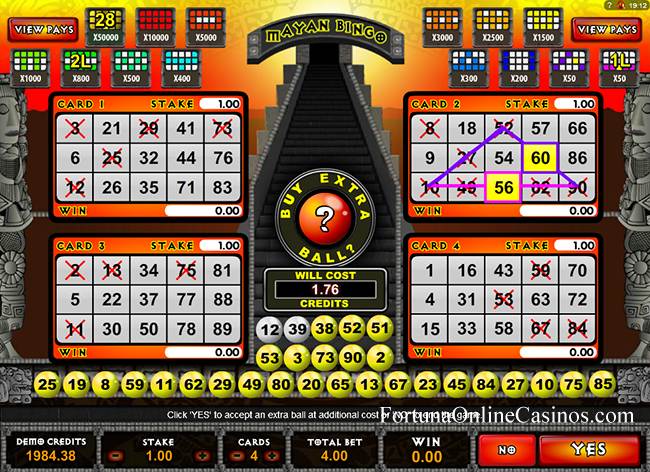 Bingo