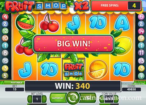 Fruit Shop slot