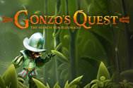 Gonzo