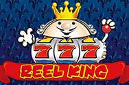 Reel King Testbericht Reel King