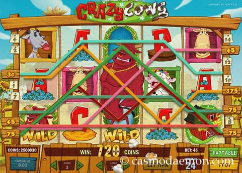 Crazy Cows slot