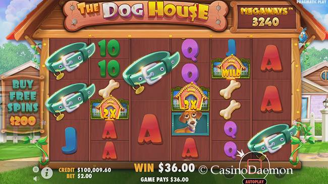 Gewinn bei The Dog House Megaways™ Slot