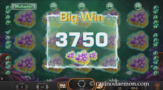 Fruitoids slot