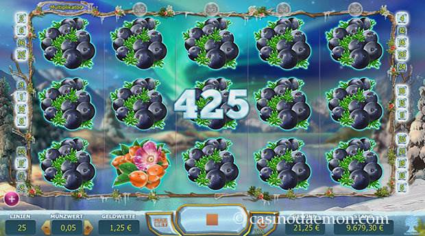 Winterberries Slot