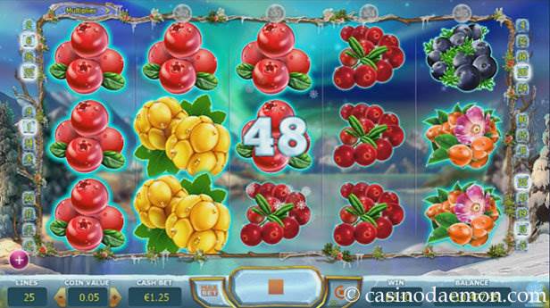 Winterberries slot