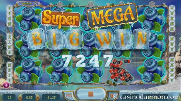 Winterberries slot