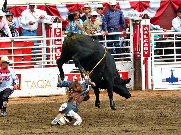 Calgary Stampede