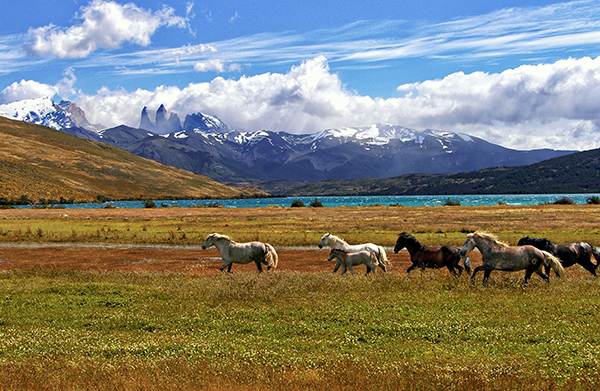 Image: André Ulysses De Salis Chile
