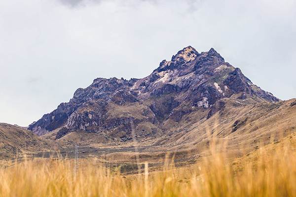 Image: Christian Alvarez Ecuador