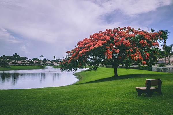 Image: Dominic M Contreras Jupiter Park